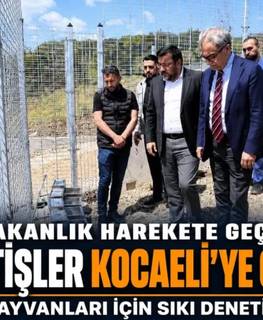 81-Ilde-Belediyelerin-Sokak-Hayvani-Calismalari-Denetleniyor-featured