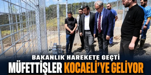 81 İlde Belediyelerin Sokak Hayvanı Çalışmaları Denetleniyor