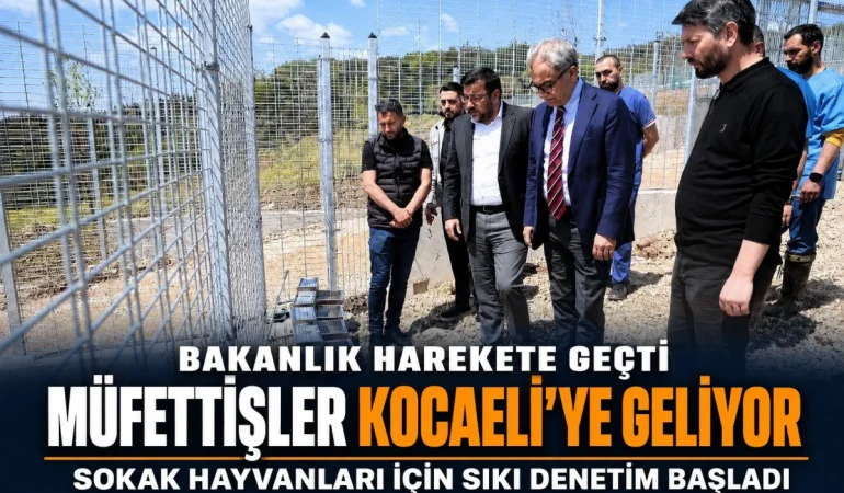 81-Ilde-Belediyelerin-Sokak-Hayvani-Calismalari-Denetleniyor-featured