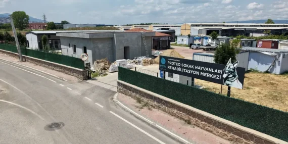 Başiskele Sokak Hayvanları İçin 5 Dönümlük Yeni Doğal Yaşam Alanı