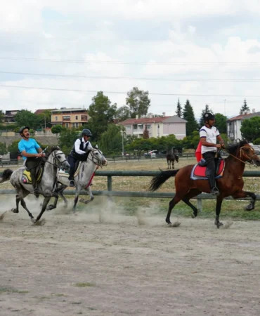 Golcuk-Rahvan-Yarislarinda-Altin-Kemer-Simsirin-Oldu-featured