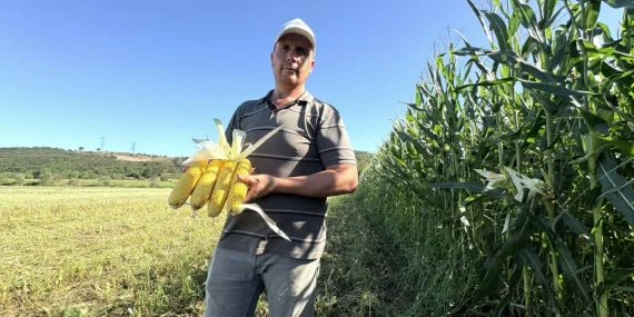 Kocaeli’de tarımsal sulamayla yılda çift hasat dönemi başladı