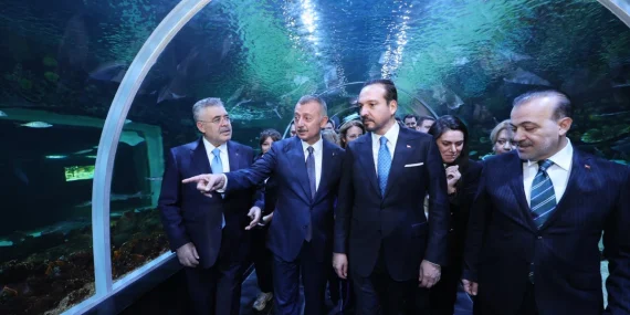 Kürşad Zorlu’dan Tahir Büyükakın’a ‘Soyut Vatan’ övgüsü