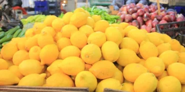 Limonda-Fiyat-Ucurumu-Uretici-ile-Market-Farki-7488217i-Asti-featured